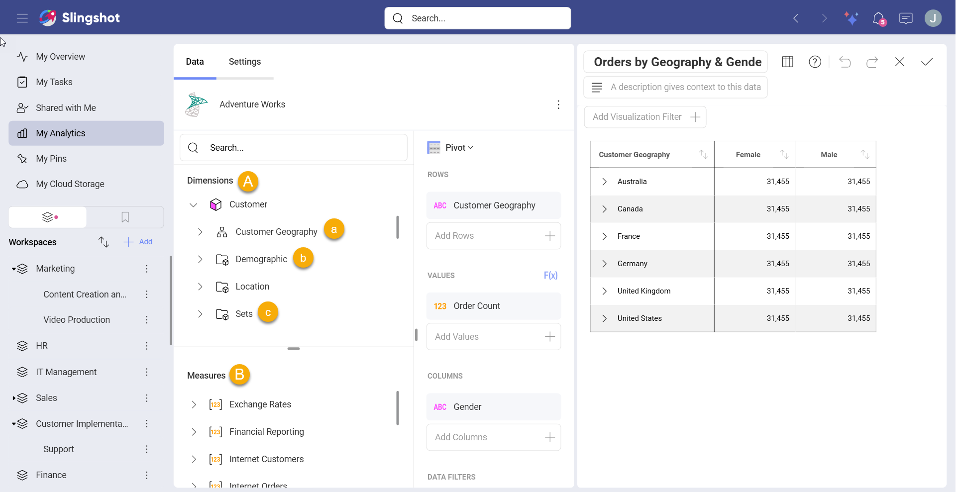 Microsoft Analysis Service data source information in the Visualization Editor