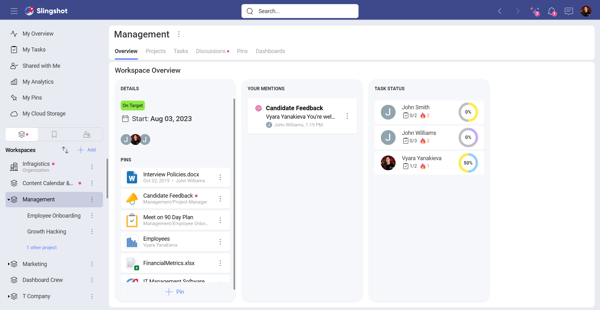 Example of a Workspace Overview within Slingshot